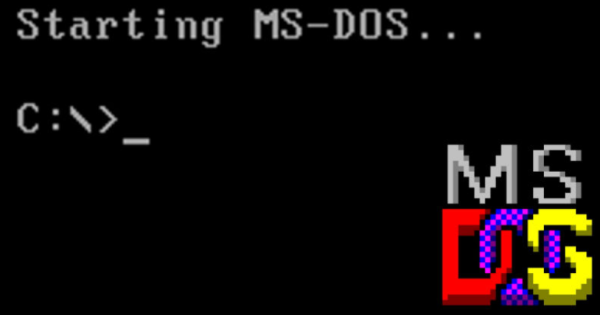 1981年8月，MS-DOS 1.25发布