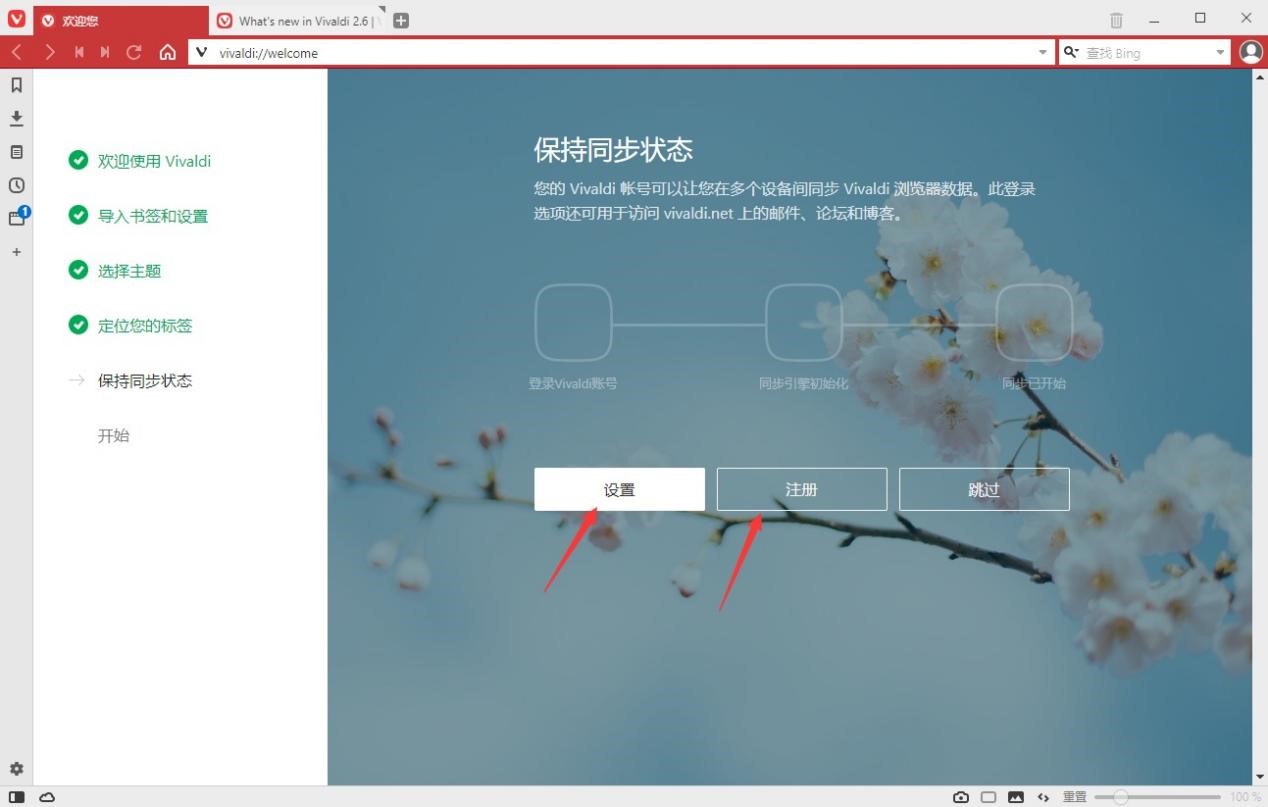 vivaldi浏览器如何使用(vivaldi浏览器使用方法)