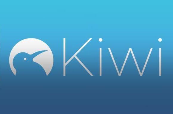 《kiwi浏览器》能不能设置为网页版