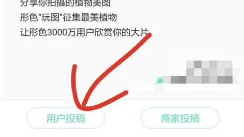 《形色》APP发帖投稿方法教程