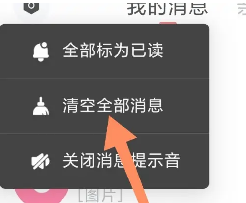 饭友app免费聊天如何删除 饭友app删除全部消息方法介绍