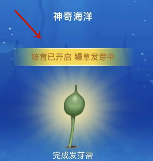 《支付宝》神奇海洋培育植物方法一览