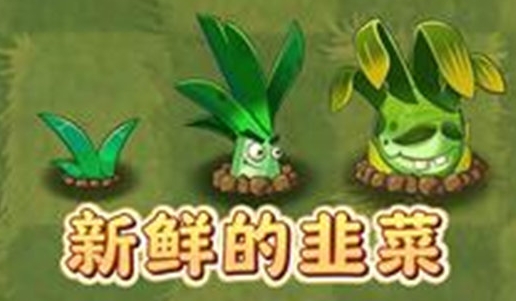 《植物大战僵尸2》阳光韭菜基本信息介绍