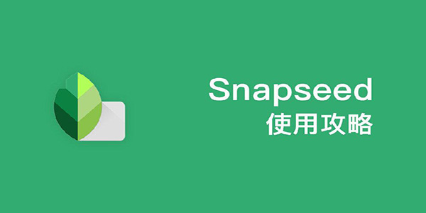 Snapseed基础操作流程，你会了吗