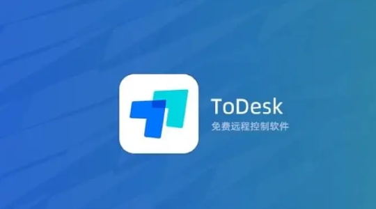 《ToDesk》怎么设置简体中文