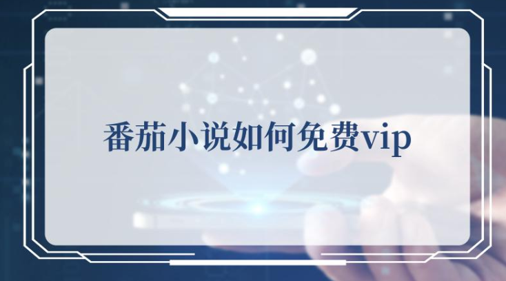 《番茄小说》2024年永久有效vip激活码免费领取