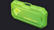 CSGO电竞2014夏季武器箱