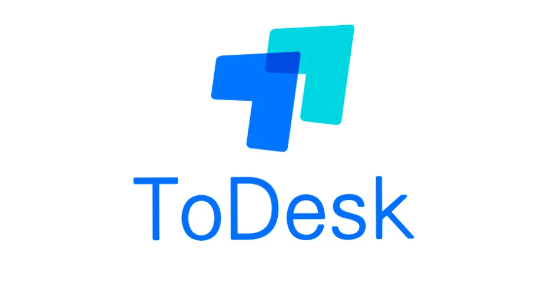 《ToDesk》怎么设置标签页显示设备代码