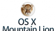 Mountain Lion