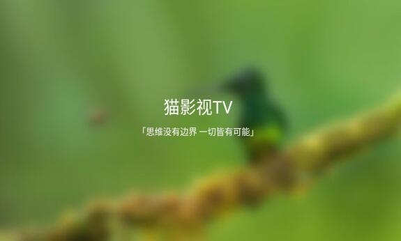 tvbox最新配置福利接口有哪些(2022猫影视最强解析接口源码分享)