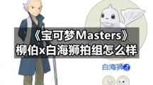 宝可梦Masters