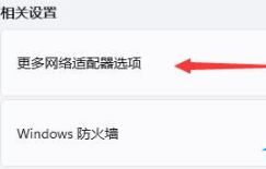 Win11重装之后不能联网怎么解决