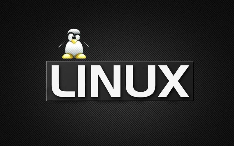 Linux文件属性修改