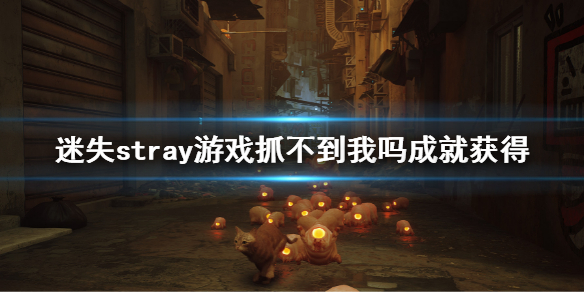 《stray》怎么获得抓不到我吗成就