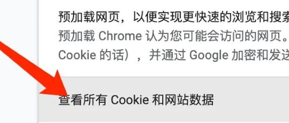 《谷歌浏览器》怎么查看Cookie