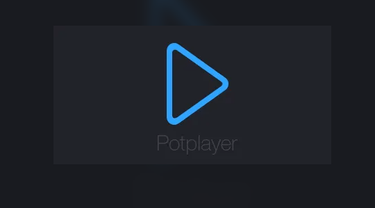 PotPlayer播放隐藏指针