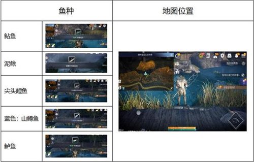 黑色沙漠手游在哪钓鱼 黑色沙漠钓鱼点位置合集
