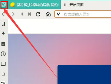 《vivaldi浏览器》进行截图的操作方法