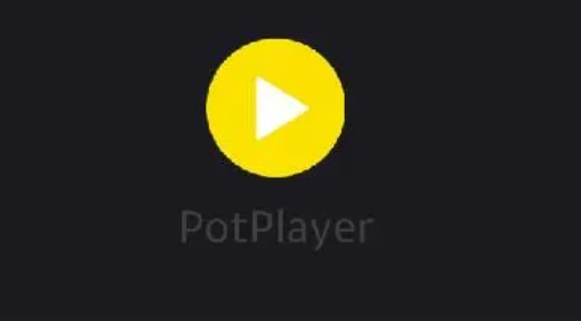 《PotPlayer》输出声音效果更加生动操作方法介绍