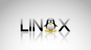 Linux cd命令：切换目录