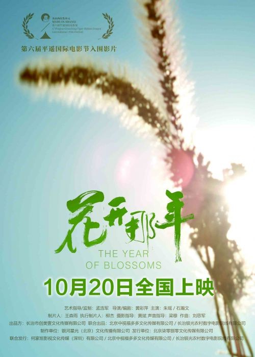 电影《花开那年》剧情介绍