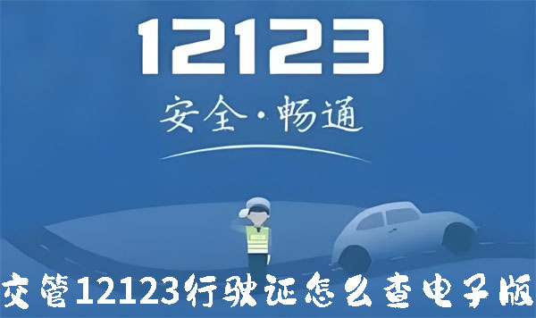 《交管12123》如何查询电子版行驶证