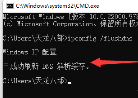 Win11系统dns异常无法上网怎么解决