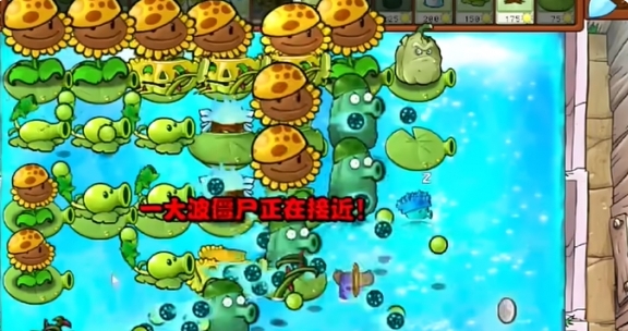 《植物大战僵尸杂交版》冒险模式第71关怎么过关