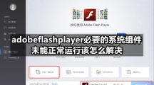 Adobe Flash Player