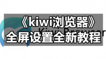 kiwi浏览器