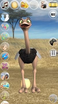 Talking Joe Ostrich1