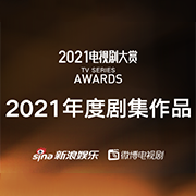 2021电视剧大赏