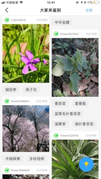 花伴侣最新版5